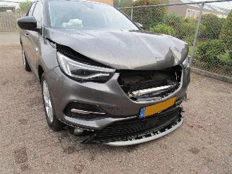 Opel Grandland X 1.2 T Navi Panodak Clima 6-Bak picture 8