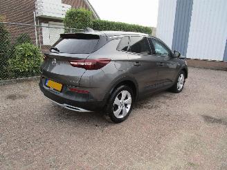 Opel Grandland X 1.2 T Navi Panodak Clima 6-Bak picture 4