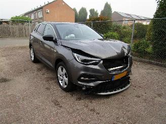 Opel Grandland X 1.2T Navi Camera Panodak 6-Bak picture 3