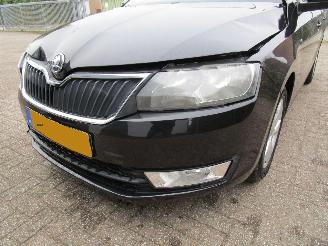 Skoda Rapid 1.2 TSI Navi Clima 6-Bak picture 9