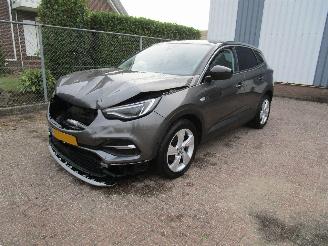 Voiture accidenté Opel Grandland X 1.2T Camera Navi Panodak 2019/11