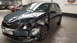 Avarii autoturisme Skoda Fabia 1.2 TSI 16V AUT 4DRS  BENZ 1.197CC 81KW 110PK 2017/2