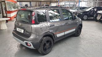 Fiat Panda 1.0 Hybrid Garmin Cross picture 4