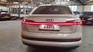 Audi E-tron 50 SUV  AUT ELEKTRISCH  230KW 313PK 4x4 2019-09 picture 5