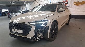 Audi E-tron 50 SUV  AUT ELEKTRISCH  230KW 313PK 4x4 2019-09 picture 3