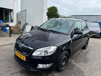 Avarii autoturisme Skoda Fabia 1.2 TDI Greenline 2011/3