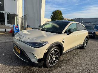 Auto incidentate Smart  #3 Premium 66 kWh 2024/10