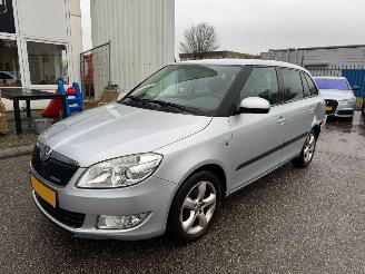 škoda osobní automobily Skoda Fabia Combi 1.2 TDI Greenline 2011/8