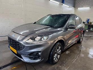 Damaged car Ford Kuga 2.5 AUTOMAAT PHEV ST-Line BJ 2023 130.021 KM 2023/7