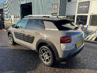 Citroën C4 cactus 1.2 PureTech Shine BJ 2015 160.986 KM picture 3
