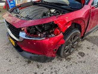 Mazda CX-30 2.0 AUTOMAAT e-SkyActiv-X M Hybrid Homura BJ 2023 10319 KM picture 12