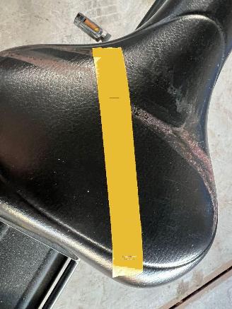 Stella  STELLA VICENZA DAMES picture 8