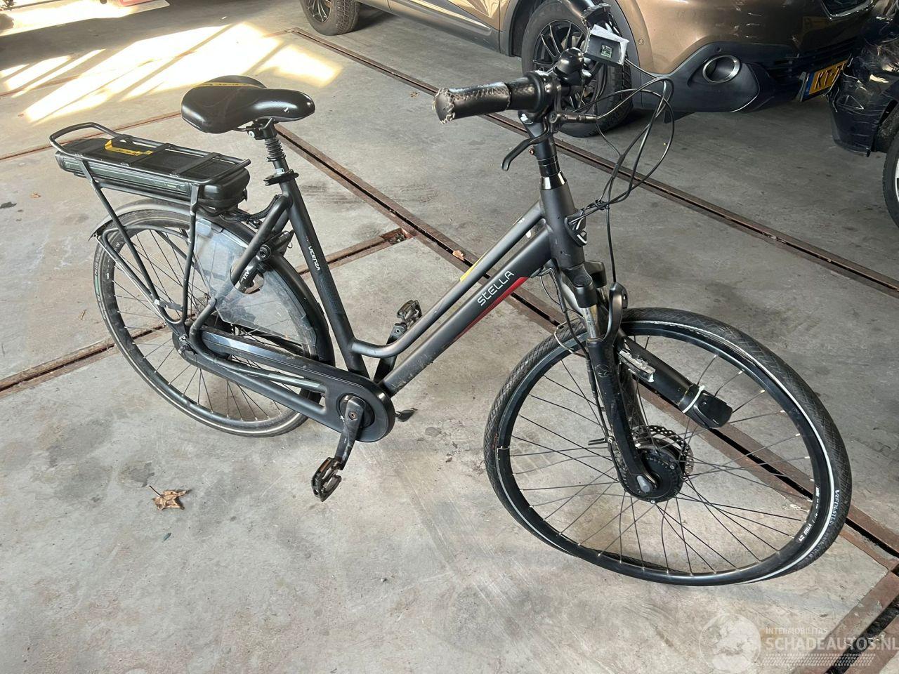 Stella  STELLA VICENZA DAMES