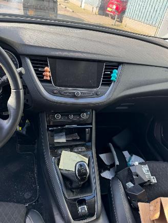 Opel Grandland X 1.2 Turbo Business Executive picture 13