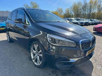 BMW 2-serie Gran Tourer 218i AUTOMAAT 7p. High Executive Launch Edition picture 7