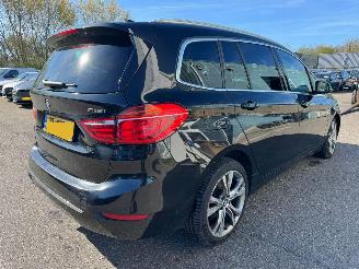 BMW 2-serie Gran Tourer 218i AUTOMAAT 7p. High Executive Launch Edition picture 6