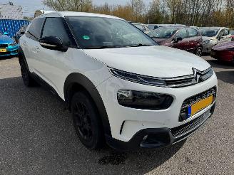 Citroën C4 cactus 1.2 PureTech Shine picture 6