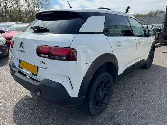 Citroën C4 cactus 1.2 PureTech Shine picture 5