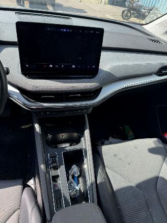 Skoda Enyaq iV 80 picture 17