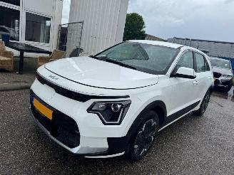 Avarii autoturisme Kia Niro EV Light Edition 64.8 kWh 2024/9