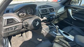 BMW 1-serie 120i  AUTOMAAT Centennial High Executive picture 10