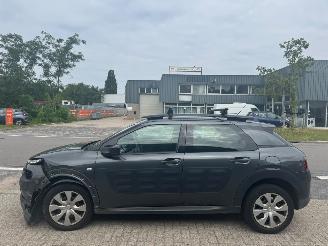 Citroën C4 cactus Cactus 1.2|AUTOMAAT  e-VTi Business picture 2