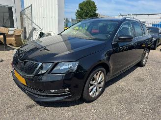 Unfall Kfz Van Skoda Octavia 1.6 AUTOMAAT TDI Greentech Clever Edition 2019/1