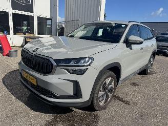 Unfallwagen Skoda Kodiaq 1.5 TSI MHEV Business Edition 7p 2024/6