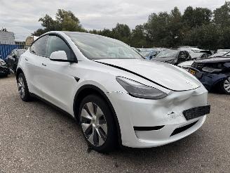 Tesla Model Y RWD 58 kWh picture 6