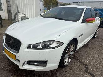 Damaged car Jaguar XF 2.2D AUTOMAAT 2012/2