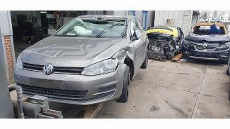 Volkswagen Golf Golf VII (AUA), Hatchback, 2012 / 2021 1.2 TSI 16V picture 2