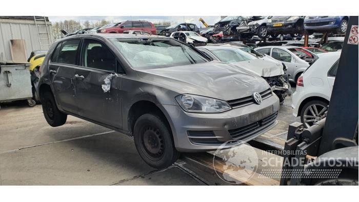 Volkswagen Golf Golf VII (AUA), Hatchback, 2012 / 2021 1.2 TSI 16V