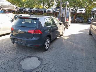 Volkswagen Golf Golf VII (AUA), Hatchback, 2012 / 2021 1.6 TDI 16V picture 4