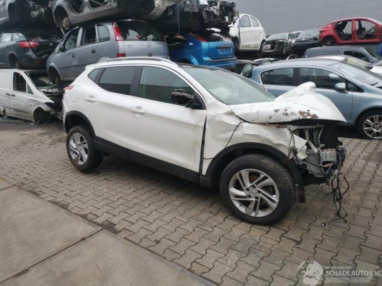 Nissan Qashqai Qashqai (J11), SUV, 2013 1.2 DIG-T 16V