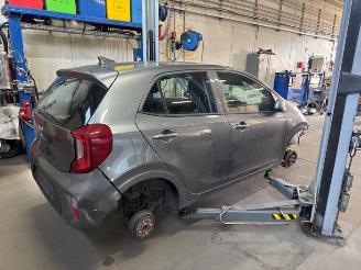 Kia Picanto Picanto (JA), Hatchback, 2017 1.0 DPI 12V picture 2