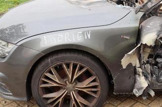 Audi A7 A7 Sportback (4GA/4GF), Liftback, 2010 / 2018 1.8 TFSI 16V picture 14