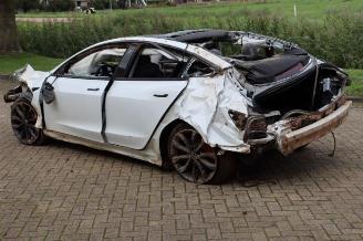 Tesla Model 3 Model 3, Sedan, 2017 Long Range, Performance AWD picture 7