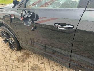 Audi Q3 Q3 Sportback (F3N), SUV, 2019 1.4 45 TFSIe 16V picture 35