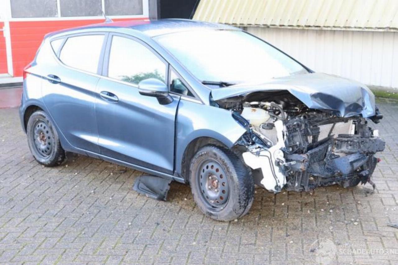 Ford Fiesta Fiesta 7, Hatchback, 2017 1.0 EcoBoost 12V