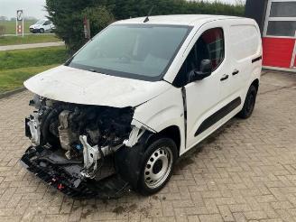 Opel Combo Combo Cargo, Van, 2018 1.6 CDTI 100 picture 7
