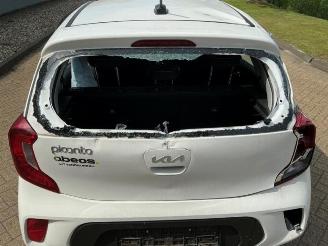 Kia Picanto Picanto (JA), Hatchback, 2017 1.0 DPi 12V picture 10