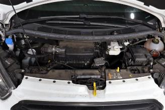 Ford Transit Transit Custom, Van, 2011 / 2023 2.0 TDCi 16V Eco Blue 105 picture 9