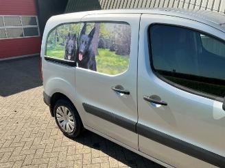Citroën Berlingo Berlingo, Van, 2008 / 2021 1.6 VTi 95 16V picture 29