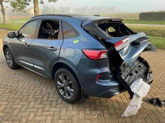 Ford Kuga Kuga III (DFK), SUV, 2019 2.5 PHEV 16V picture 5