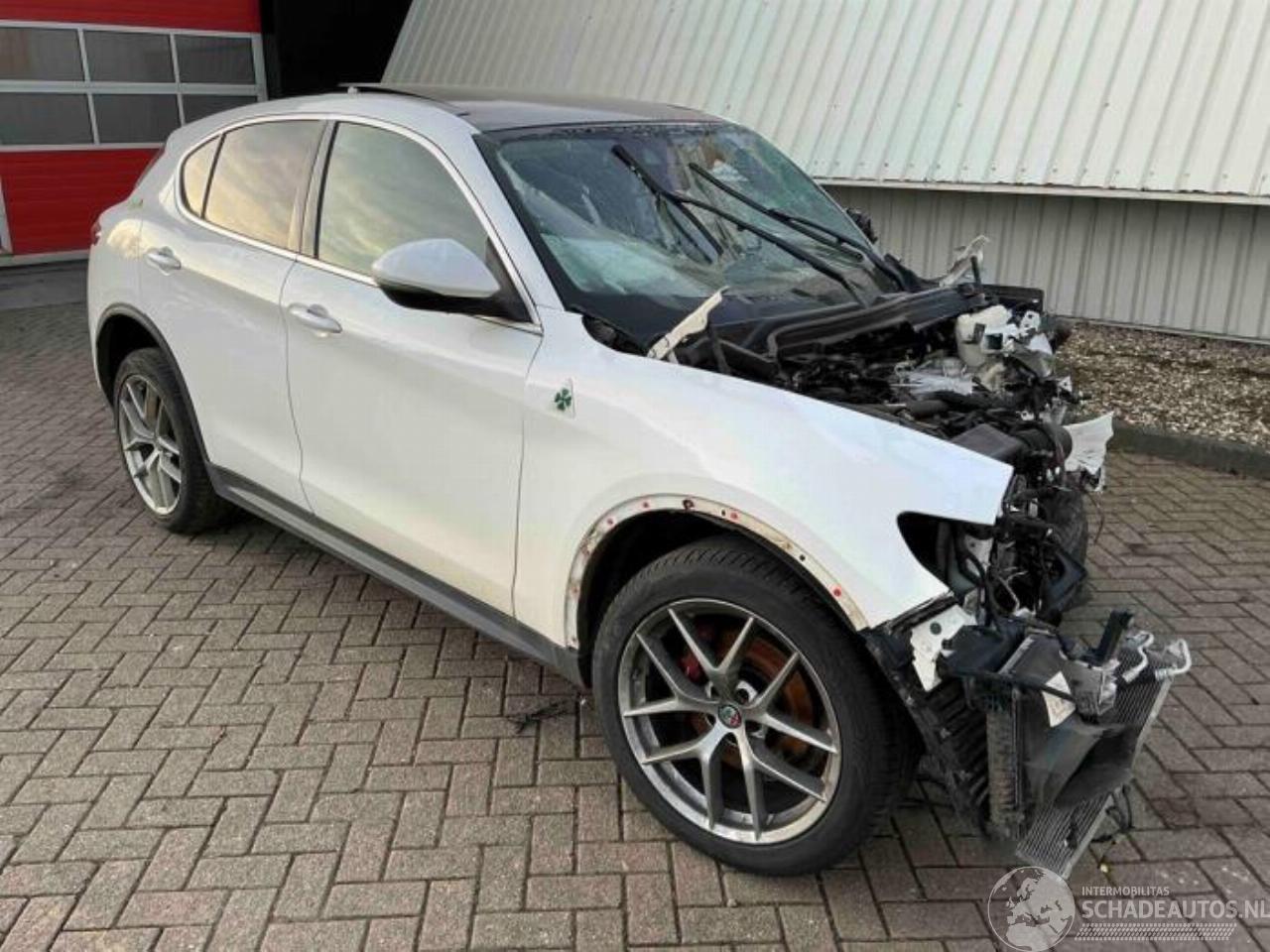 Alfa Romeo Stelvio Stelvio (949), SUV, 2017 2.0 T 16V Q4
