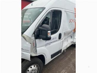 Fiat Ducato Ducato (250), Bus, 2006 2.3 D 130 Multijet Minibus Extralongo picture 15