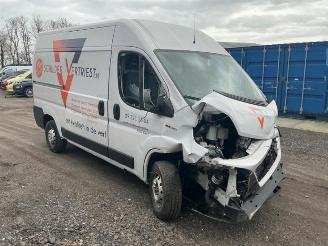Vrakbiler auto Fiat Ducato Ducato (250), Bus, 2006 2.3 D 130 Multijet Minibus Extralongo 2019/8