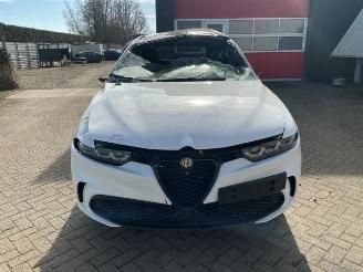 Auto da rottamare Alfa Romeo Tonale Tonale, SUV, 2022 1.3 T Hybrid Q4 2025/1