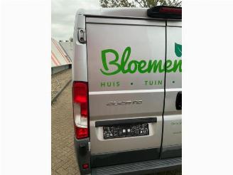 Fiat Ducato Ducato (250), Bus, 2006 2.3 D 130 Multijet Minibus Extralongo picture 19