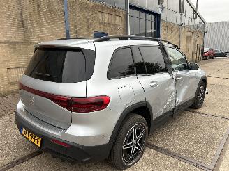 Mercedes EQB 250 + AMG LINE 7P 71  KWH picture 3